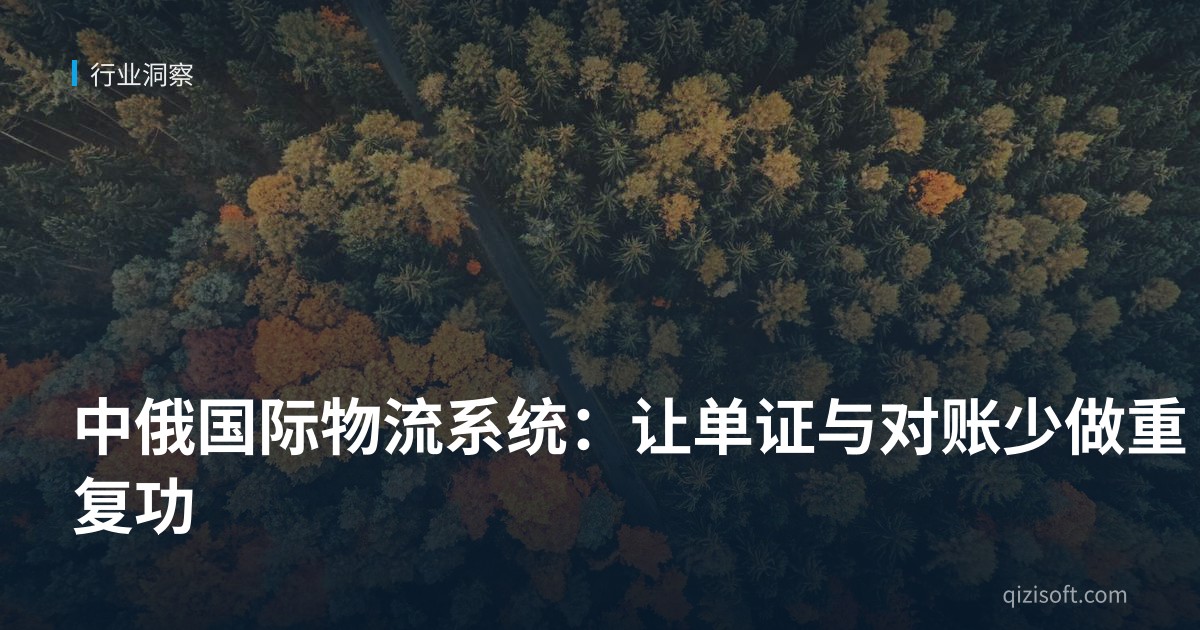 中俄国际物流系统：让单证与对账少做重复功