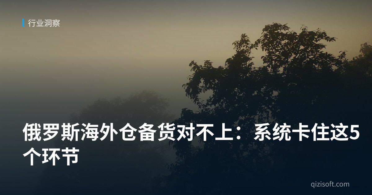 俄罗斯海外仓备货对不上：系统卡住这5个环节